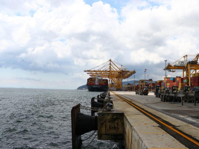 Dev konteyner gemisi “MSC Oscar” Tekirdağ'a geldi
