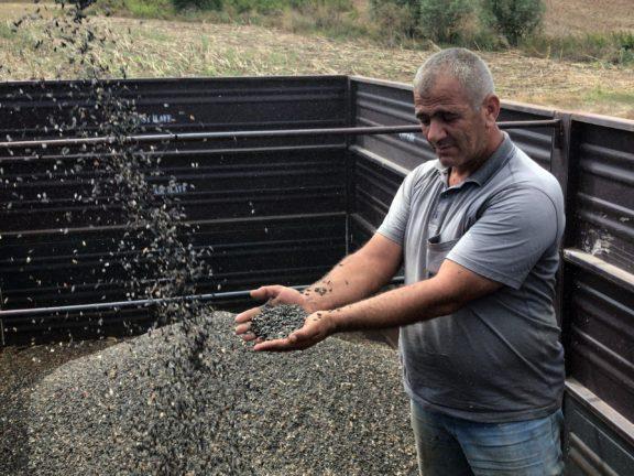 Dünya Çiftçiler Günü