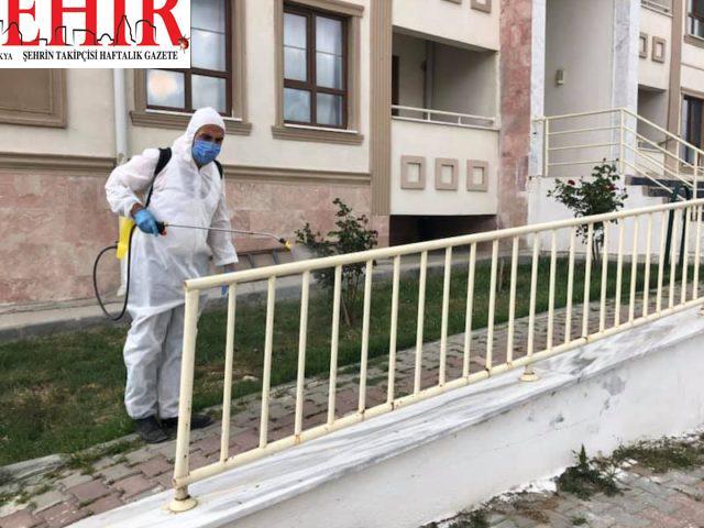 Edirne'den kısa kısa