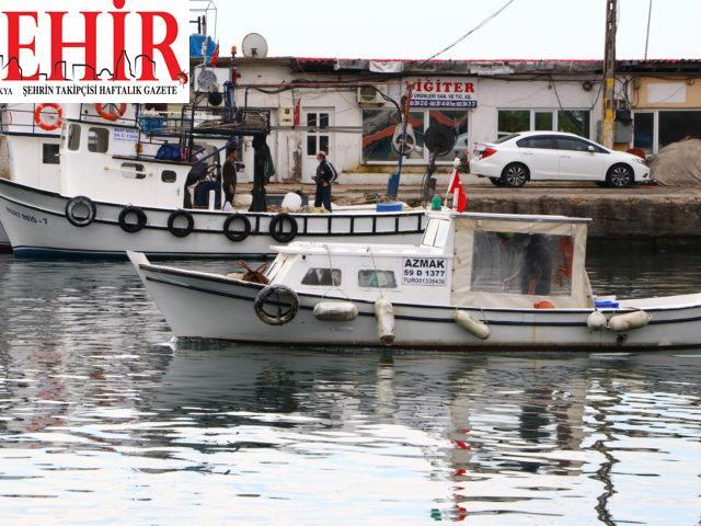 Kısıtlamanın kaldırılmasının ardından tekne balıkçılarının yüzü “istavrit” ile güldü