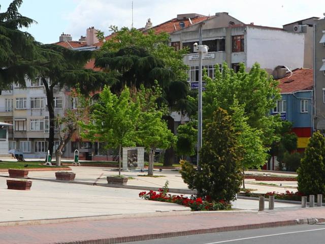 Kırklareli'nde sokak hayvanlarına mama desteği