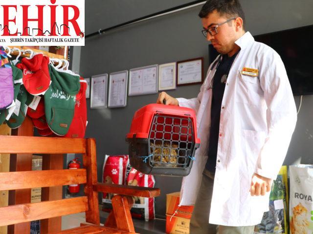 Bedensel engelli genç veteriner, hayallerine devlet desteğiyle kavuştu