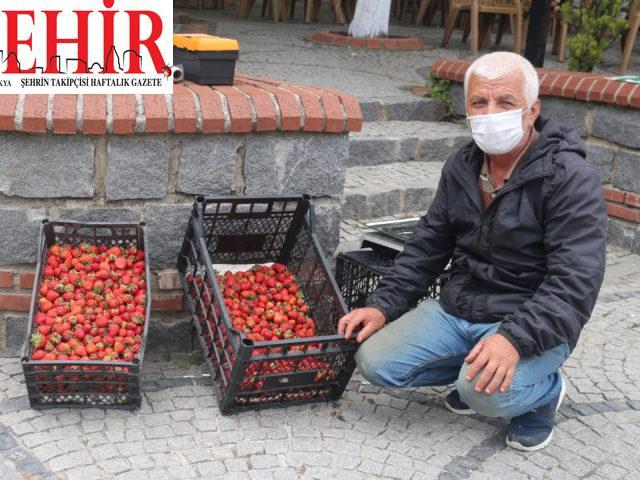 Kırklareli'nden kısa kısa