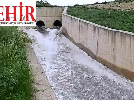 Edirne'den kısa kısa