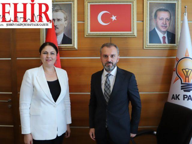 Edirne'den kısa kısa