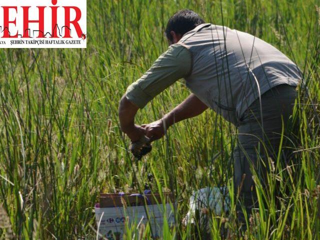 Kırklareli'de yasa dışı sülük avına 147 bin 494 lira ceza