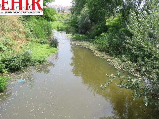 Kırklareli'nde halk oyunları ekibi temiz akan derede gösteri yaptı