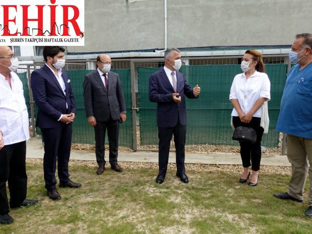 Kırklareli'nde sokak hayvanlarına çip takılacak