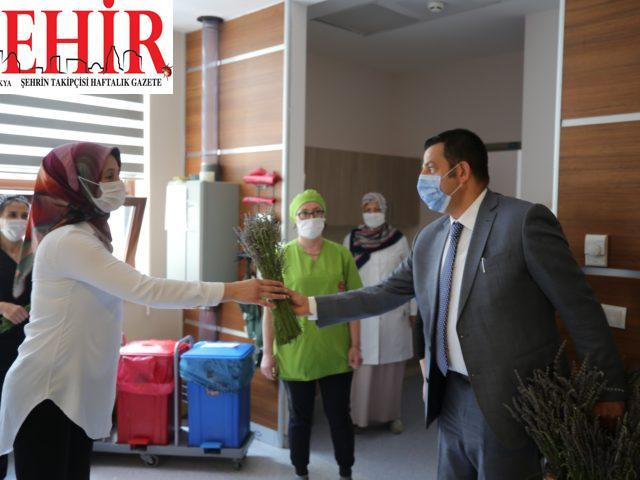 Lavantalar bahçeden sağlık çalışanları için hasat edildi