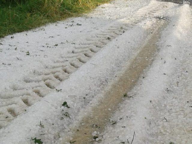 Tekirdağ'da etkili olan dolu buğday ve ayçiçeği tarlalarına zarar verdi
