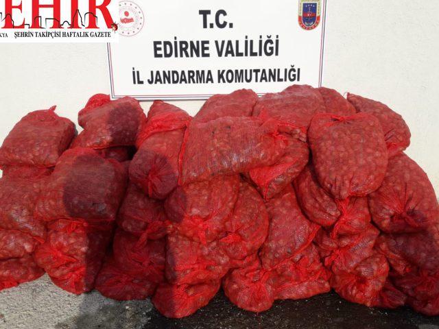 Edirne'de 1 ton kaçak midye ele geçirildi