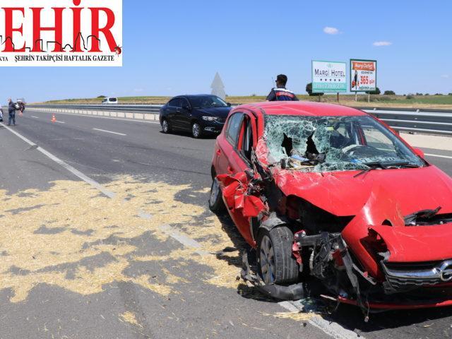 Edirne'de otomobile giren arı kazaya neden oldu