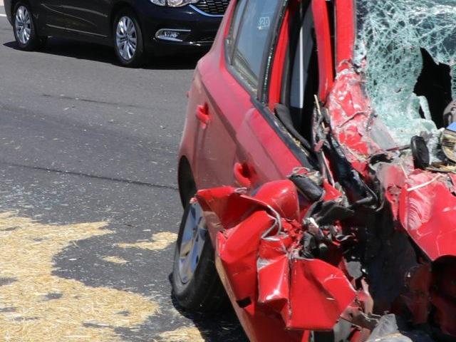 Edirne'de otomobile giren arı kazaya neden oldu