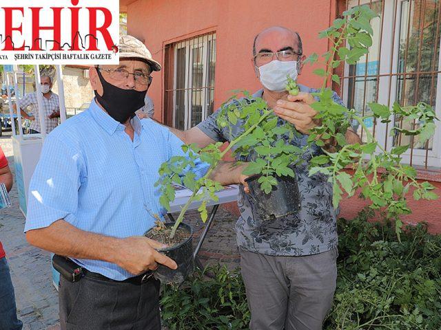 Edirne'de vatandaşlara domates ve biber fidesi dağıtıldı