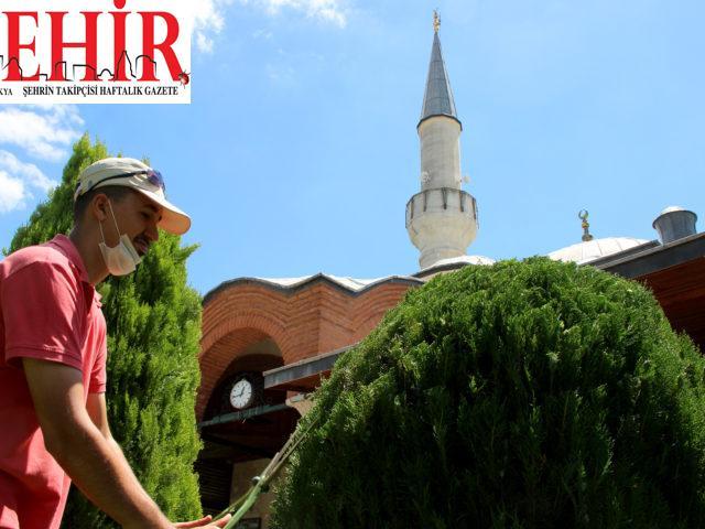 Edirne'deki “çevreci cami” cemaatinin desteğiyle güzelleşiyor