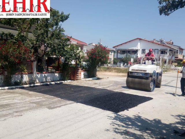 Edirne'den kısa kısa