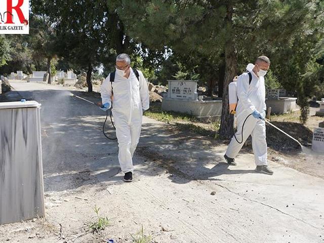 Edirne'den kısa kısa