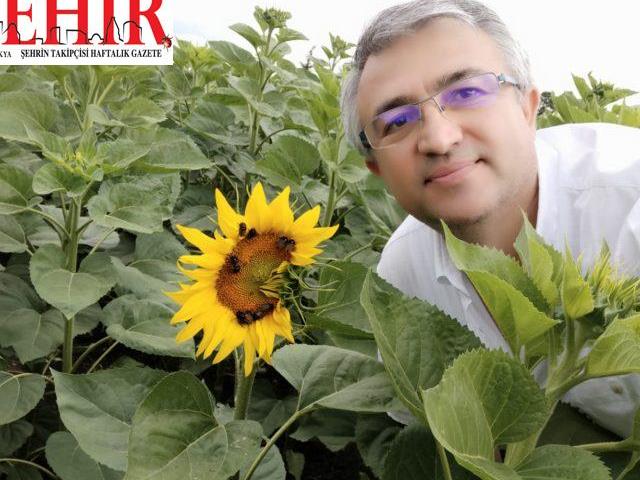 Edirne'den kısa kısa