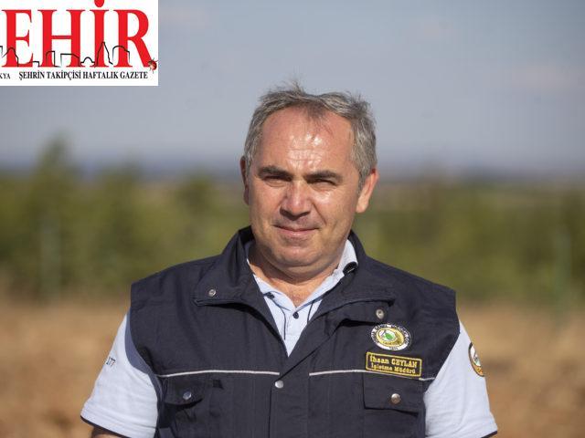 Edirne'nin ormanları 3 yangın kulesinden gözetleniyor