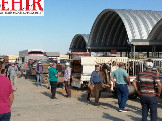 Keşan'da Canlı Hayvan Borsası'nda bayram hareketliliği artıyor