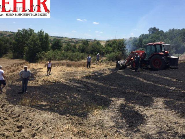 Kırklareli'nde çıkan anız yangını söndürüldü