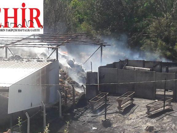 Kırklareli'nde hayvan çiftliğinde yangın