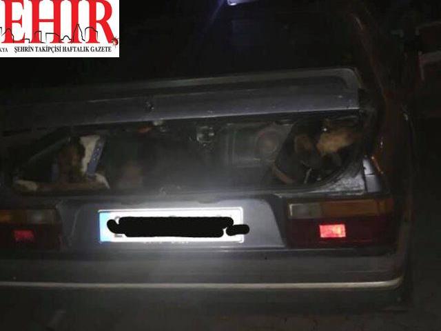 Kırklareli'nde kaçak avcılıkla mücadele