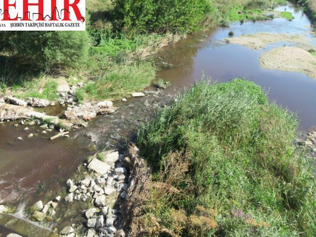 Kırklareli'nde kirlenen “Lüleburgaz Deresi”nin rengi değişti