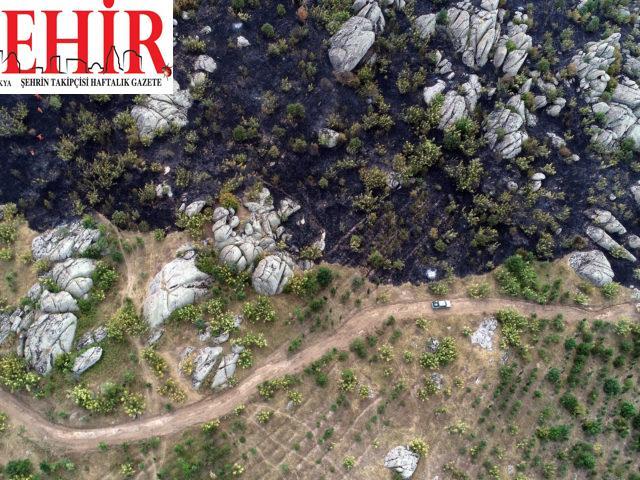 GÜNCELLEME – Kırklareli'nde orman yangını