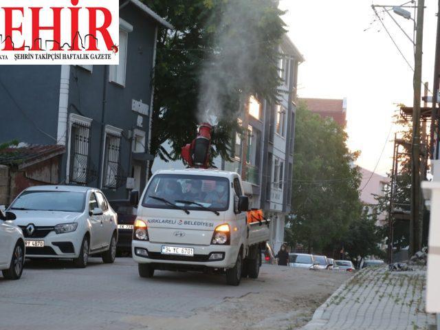 Kırklareli'nde vektör mücadele çalışması