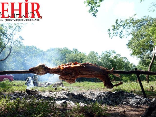 Küçükbaş kurbanlıklara bayram öncesi “kuaför” hizmeti