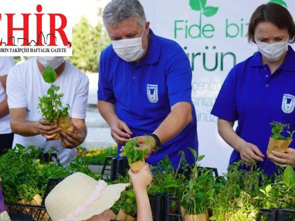 Lüleburgaz'da sebze fidesi dağıtıldı