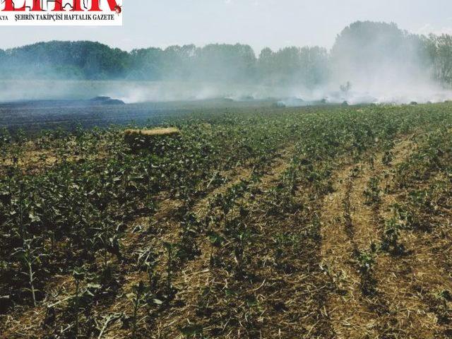 Malkara'da saman ve anız yangını