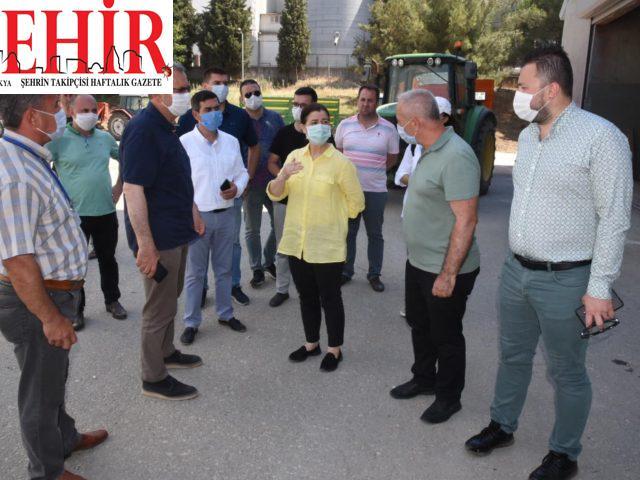 AK Parti Edirne Milletvekili Aksal buğday alım depolarında incelemede bulundu