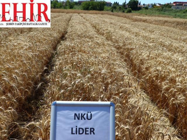 NKÜ'de geliştirilen yerli ve milli çeşitleri çiftçilerin değerlendirilmesine sunuldu