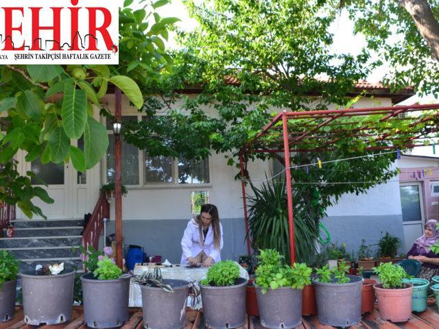 Resim-İş öğrencisi, Kovid-19 nedeniyle döndüğü köyünde evinin duvarlarını tuvali yaptı