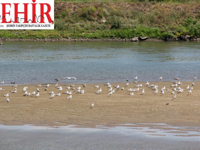Sıcak hava Meriç Nehri'nin debisini düşürdü