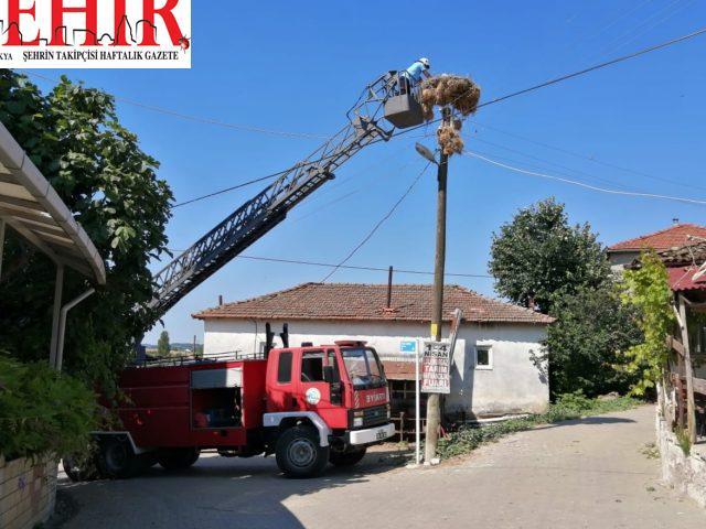 Tekirdağ'da direkteki yuvada ayaklarına ip dolanan leylekler kurtarıldı