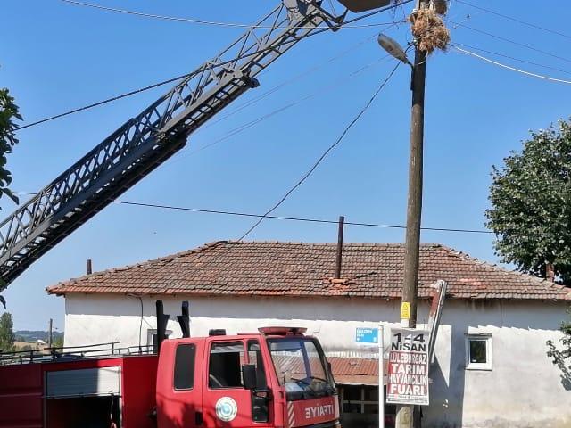 Tekirdağ'da direkteki yuvada ayaklarına ip dolanan leylekler kurtarıldı