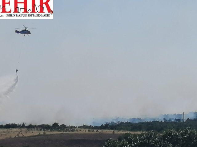 Tekirdağ'da orman yangını başladı