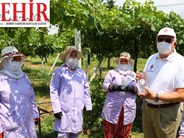 Türk Böbrek Vakfı Başkanı Erk, tarlada çalışan kadınlara su dağıttı