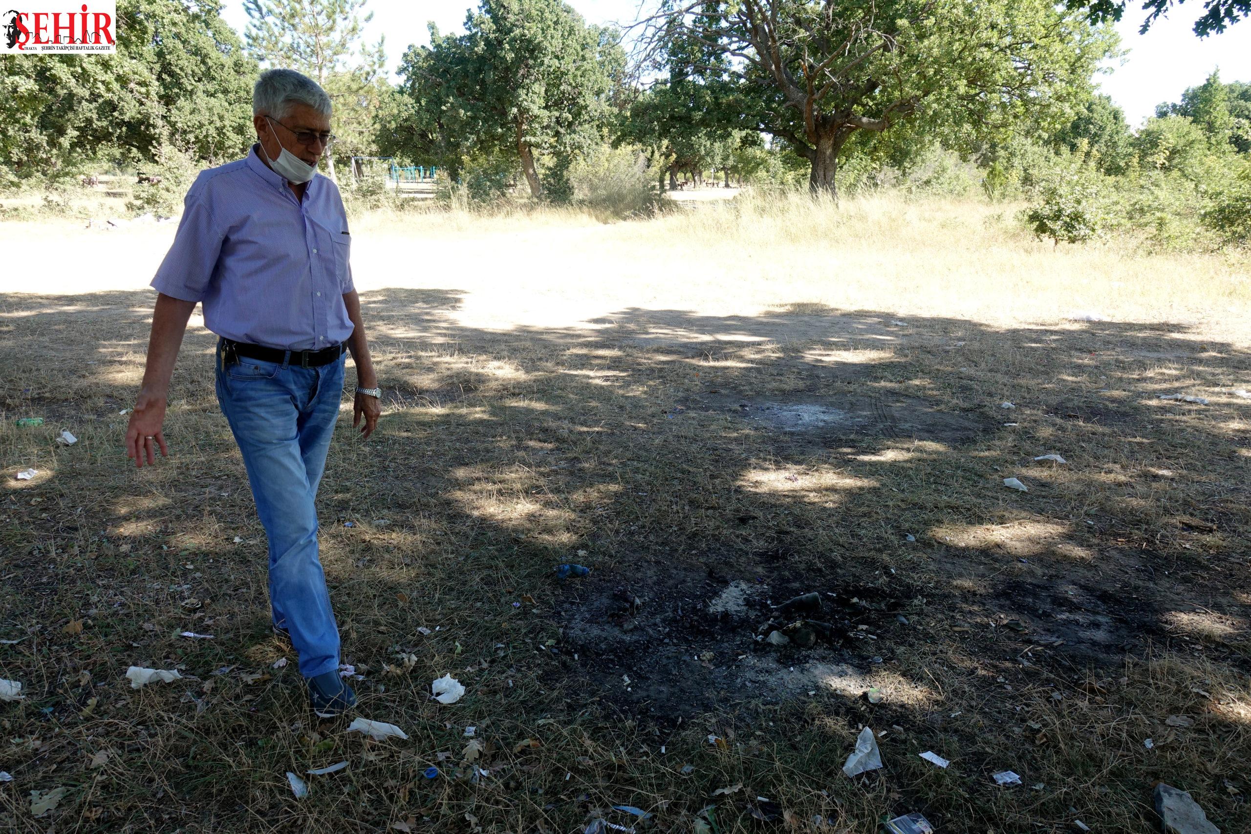 Çevreciler ormanlarda mangal yakılmasının yasaklanmasını talep ediyor