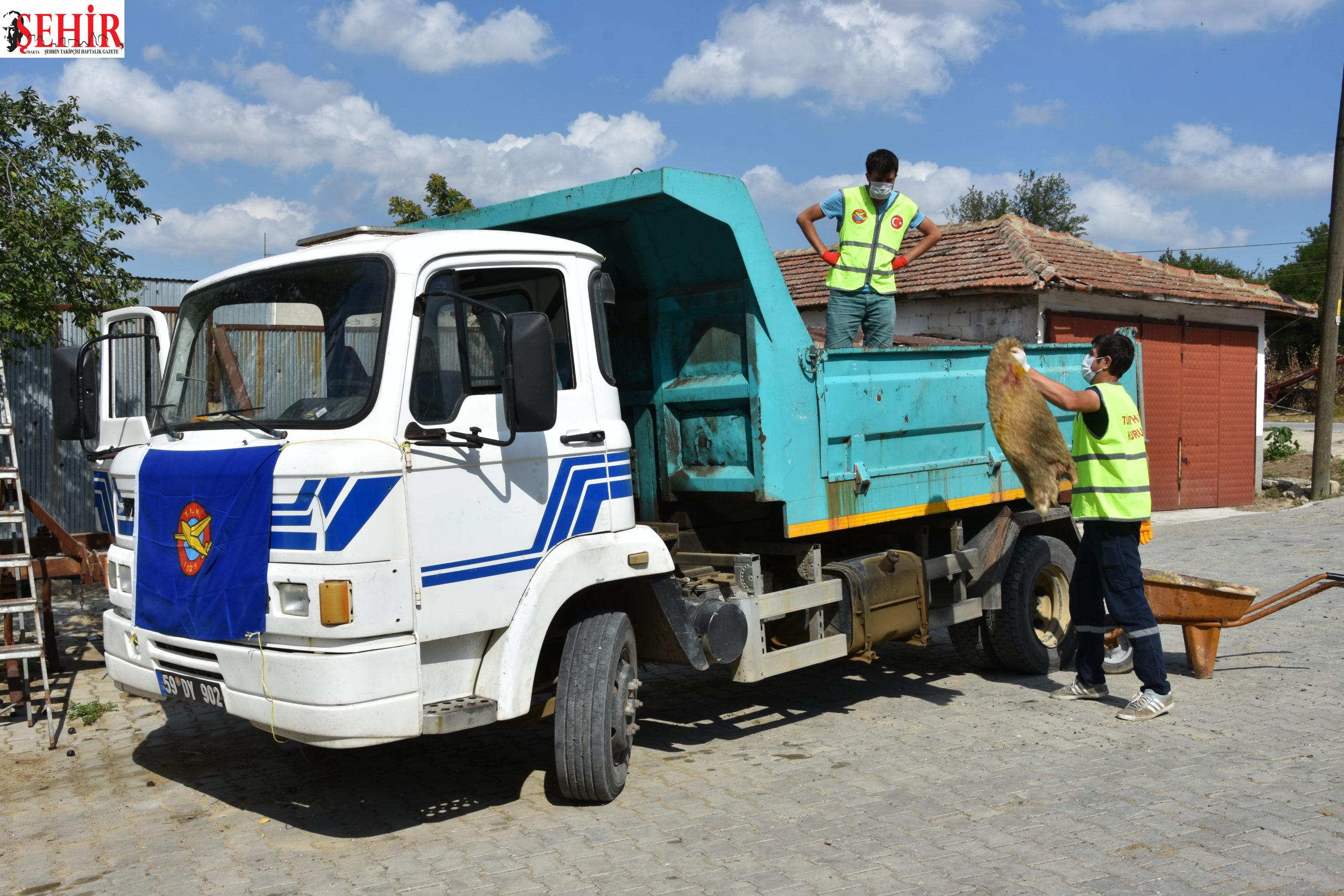 THK, Hayrabolu'da bin 671 kurban derisi topladı