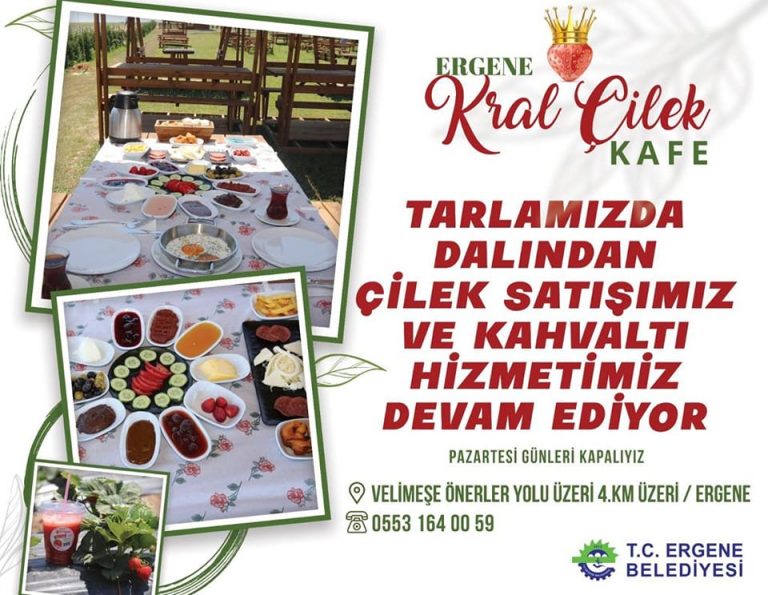 Ergene Belediyesi Çilek Tarlasında Çilek Satışları ve Kahvaltı Hizmeti Devam Ediyor