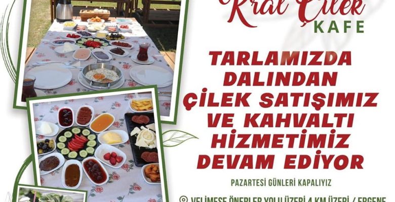 Ergene Belediyesi Çilek Tarlasında Çilek Satışları ve Kahvaltı Hizmeti Devam Ediyor