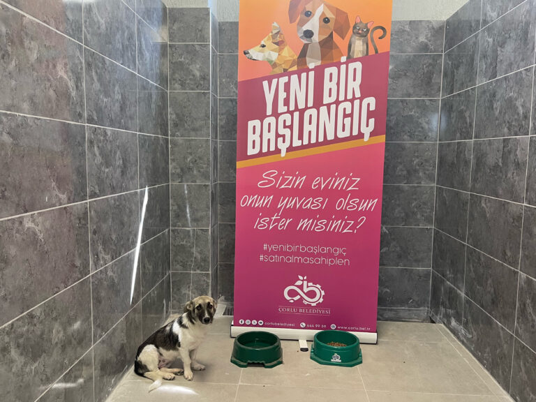 YAŞATMAK İÇİN SAHİPLEN”