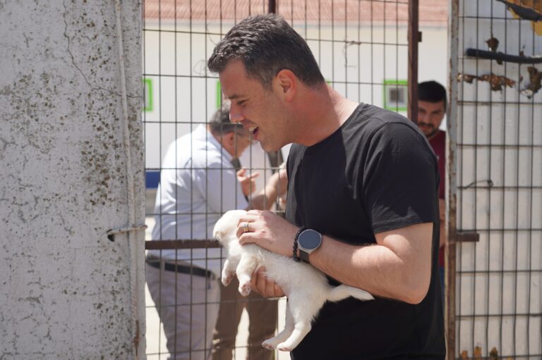 Başkan Sarıkurt’tan Sokak Hayvanları Hakkında Önemli Açıklama