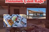 ERGENE’DE HANIMELİ LAVANTA VE ÇİLEK TARLASI HİZMETE AÇILDI