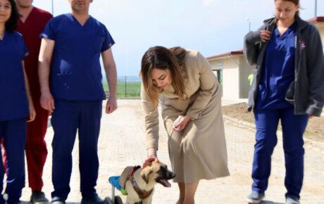 TEKİRDAĞ’DA CAN DOSTLARI İÇİN DEV YATIRIM